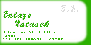 balazs matusek business card